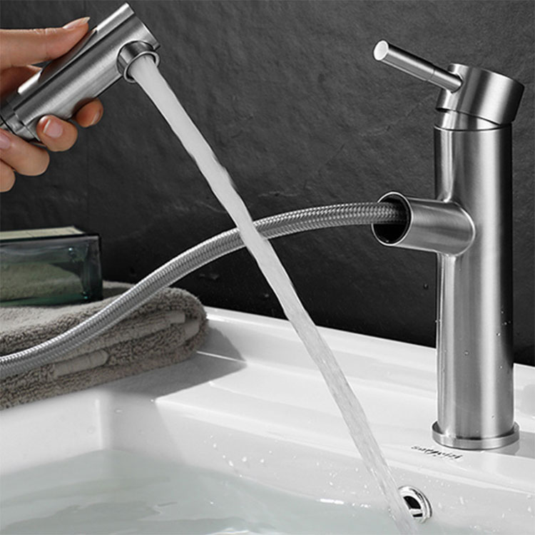 Rubinetti lavabo con spruzzatore estraibile